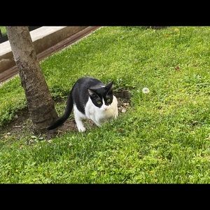 Meet your Posher, Odalys